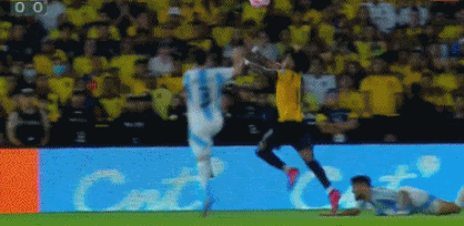 阿根廷主场, 打击